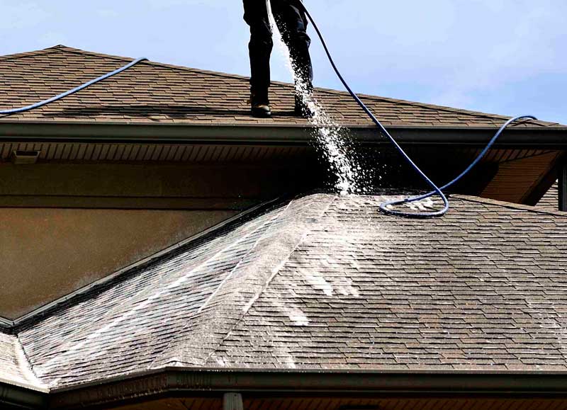 Roof Steam Cleaning and Biocide Treatment