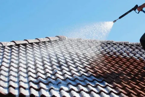 Roof Steam Cleaning and Biocide Treatment